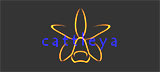 Cattleya